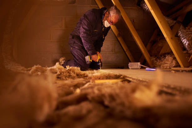 Best Insulation Maintenance and Repair in Cody, WY