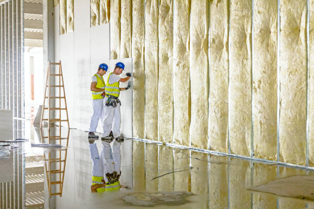 Best Insulation Maintenance and Repair in Cody, WY
